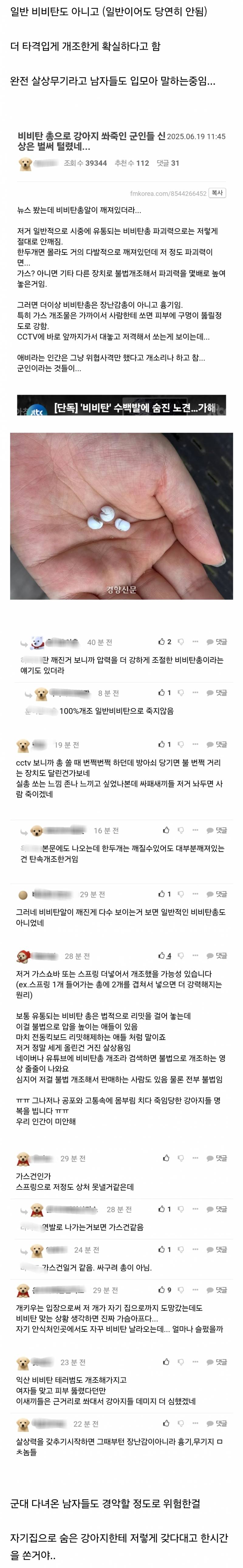  강아지한테 비비탄 쏜 사건 난리난 이유.jpg61
