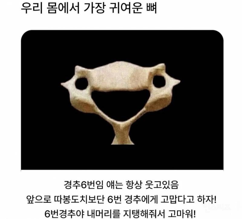  우리 몸에서 제일 귀여운 뼈.jpg6