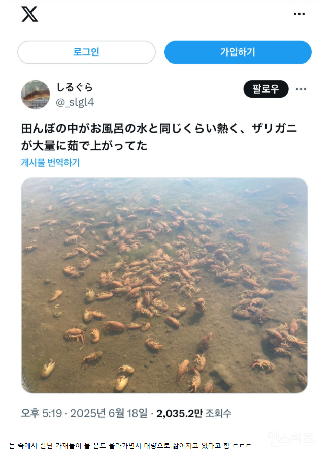 일본 날씨 근황.jpg | 인스티즈