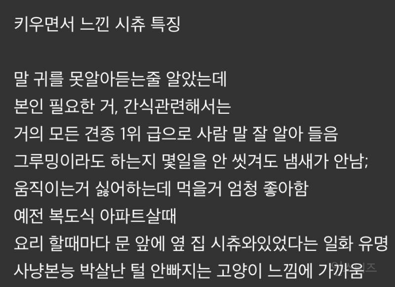 전형적인 애완견처럼 생겼는데 막상 키워 보면 강아지 느낌 잘 안나서 당황한다는 견종 | 인스티즈