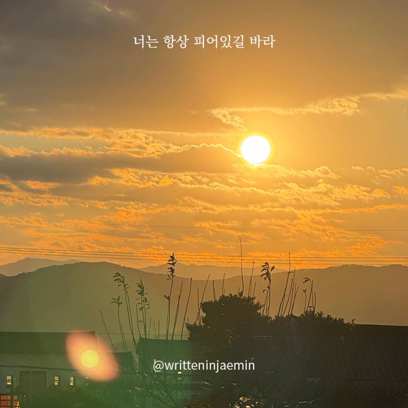 [피어있길바라] 우리 해 질 녘에 산책 나가자 | 인스티즈