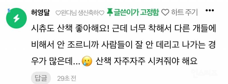 전형적인 애완견처럼 생겼는데 막상 키워 보면 강아지 느낌 잘 안나서 당황한다는 견종 | 인스티즈