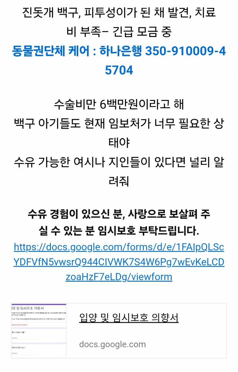 🚨네 발목이 잘린 채 발견된 백구 (충격주의)🚨 | 인스티즈