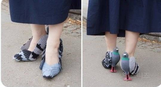  잡동사니 수집가2
