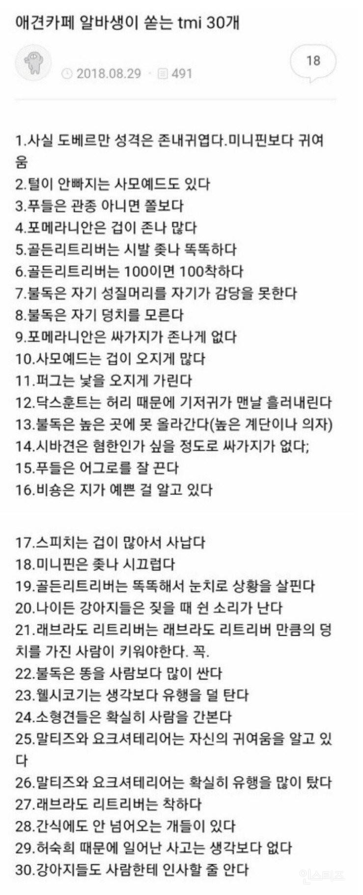  애견카페 알바생이 쏟는 견종별 tmi와 장,단점