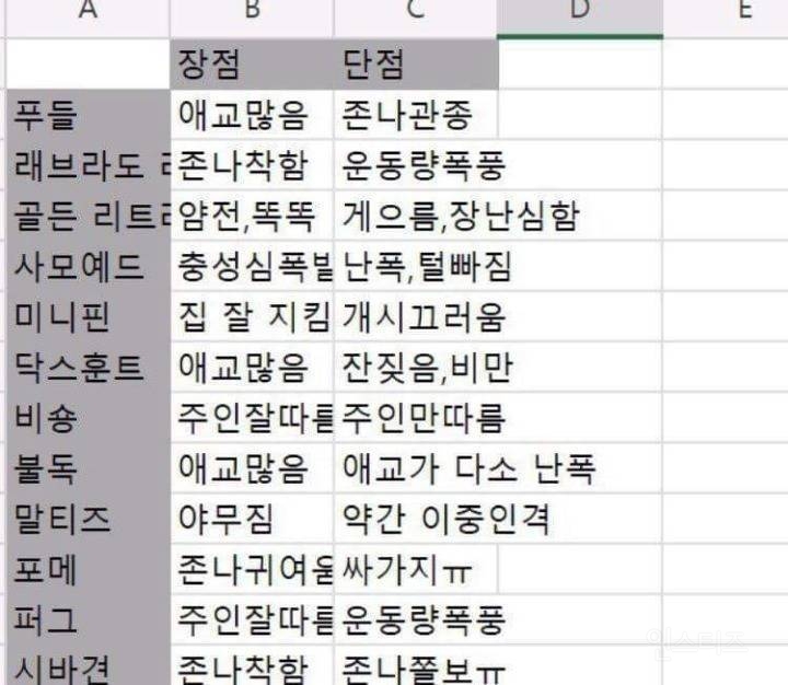 애견카페 알바생이 쏟는 견종별 tmi와 장,단점 | 인스티즈