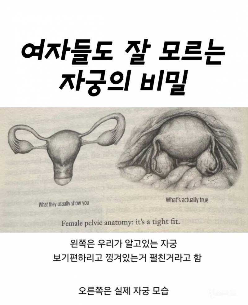  여자들도 잘 모르는 자궁의 비밀1