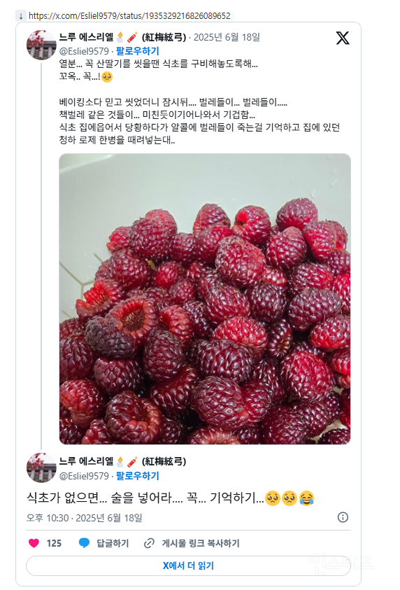  열분... 꼭 산딸기를 씻을땐 식초를 구비해놓도록해... 꼬옥.. 꼭...!1