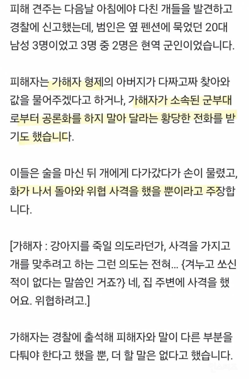 분노주의)해병대원들이 비비탄 총으로 강아지들을 사격해 사망하게 한 사건 | 인스티즈