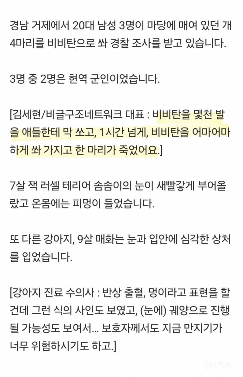 분노주의)해병대원들이 비비탄 총으로 강아지들을 사격해 사망하게 한 사건 | 인스티즈