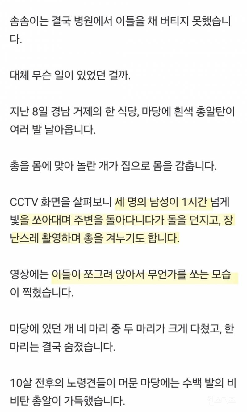 분노주의)해병대원들이 비비탄 총으로 강아지들을 사격해 사망하게 한 사건 | 인스티즈
