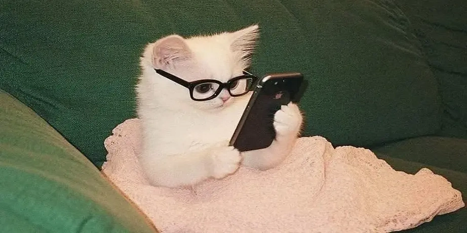 夏休み | 인스티즈