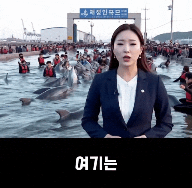 타지 사람들은 잘 모르는 울산 흔한 풍경.jpg | 인스티즈