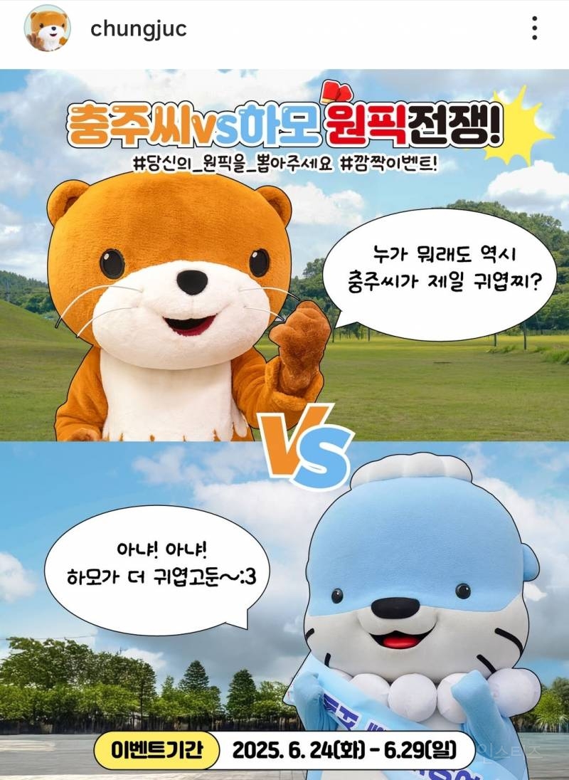지금 실시간으로 충주 공무원이랑 진주시청 직원이 맞짱 뜨고 한판 붙고 있다고 함 관전잼 | 인스티즈