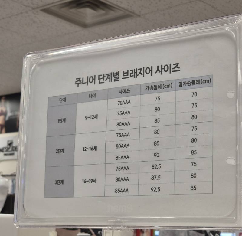 [잡담] 내 가슴이 주니어1단계라니.... | 인스티즈