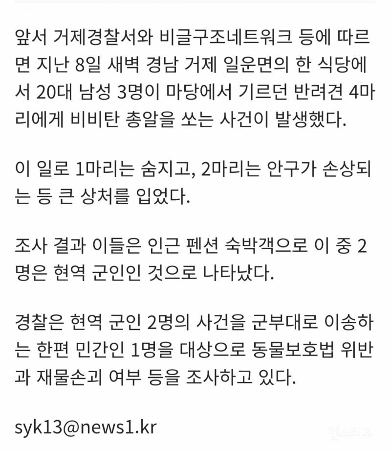 비비탄 쏴 개 죽인 군인 부모 피해자 집 찾아와 "이제 너희 죽었다" | 인스티즈