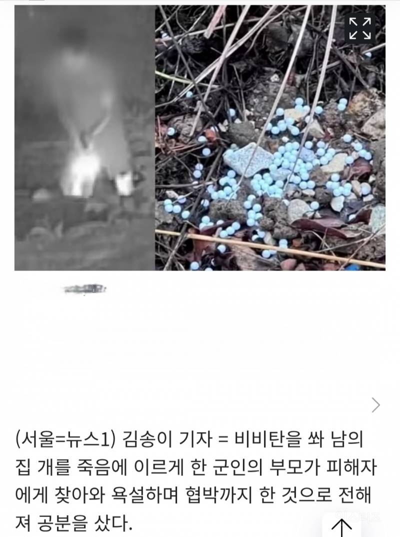 비비탄 쏴 개 죽인 군인 부모 피해자 집 찾아와 "이제 너희 죽었다" | 인스티즈