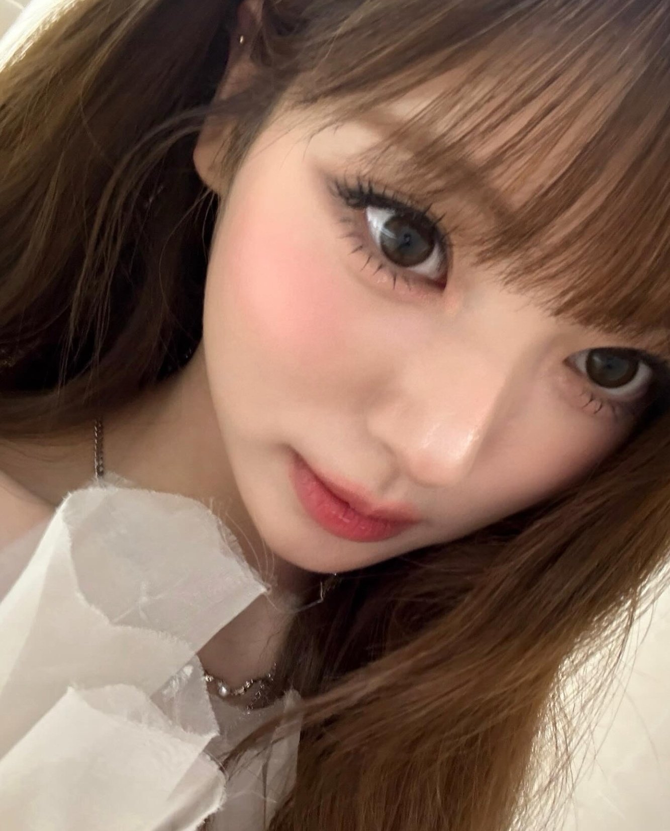 [잡담] 와 미야오 안나 봐 | 인스티즈