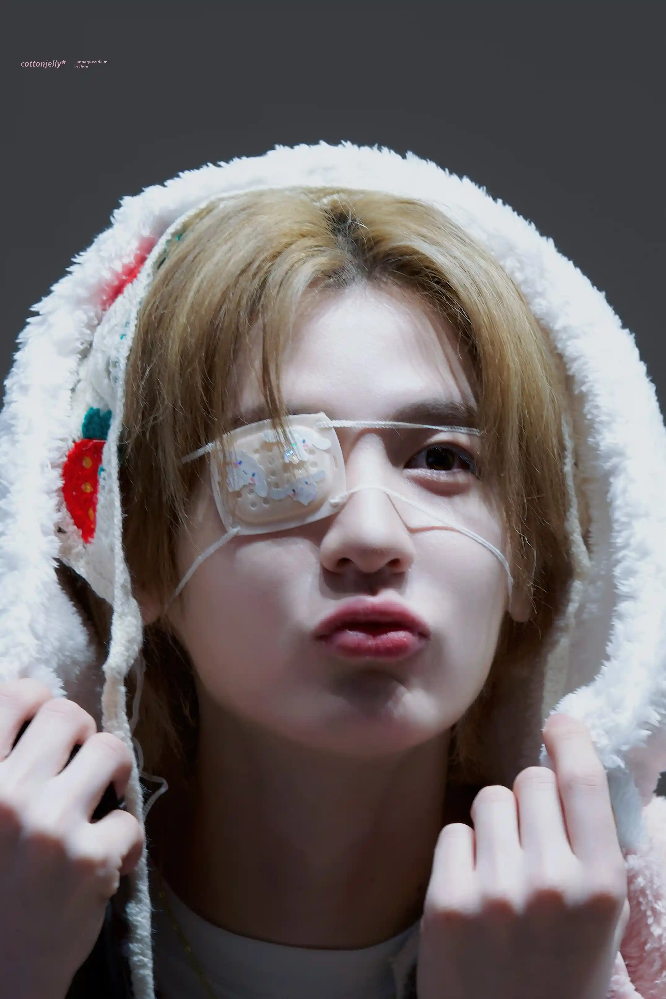 김이한 김동현 햔왼 햔른 고화질 + 햔명햔 투샷 (22) webp 공유 | 인스티즈