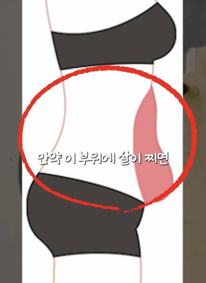 [잡담] 허리는 잘록한데 배 이런 익들 있어? | 인스티즈