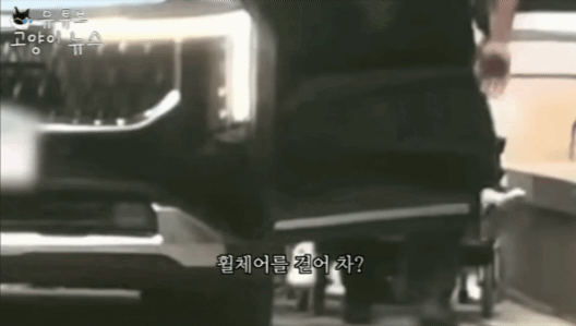 김건희 휠체어 퇴원 '쇼'였나…"차 탈 땐 벌떡” "집에선 걸어다녀” | 인스티즈