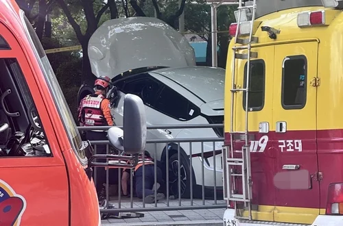 '시청역 참사' 꼭 1년 만에 또…전기차 돌진에 울타리 뽑혀나가 | 인스티즈