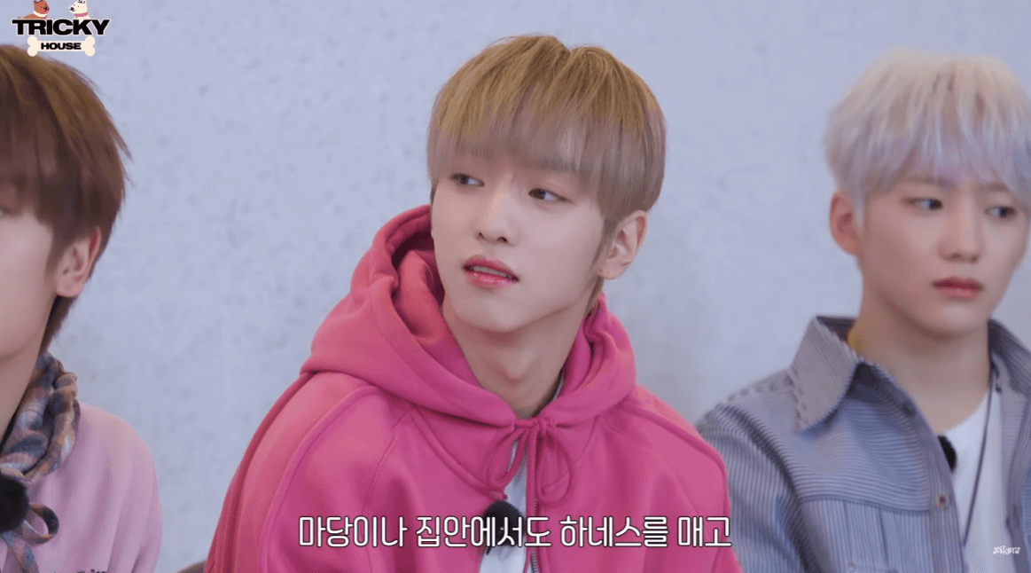 강아지 키우면 공감간다는 고민상담소 | 인스티즈