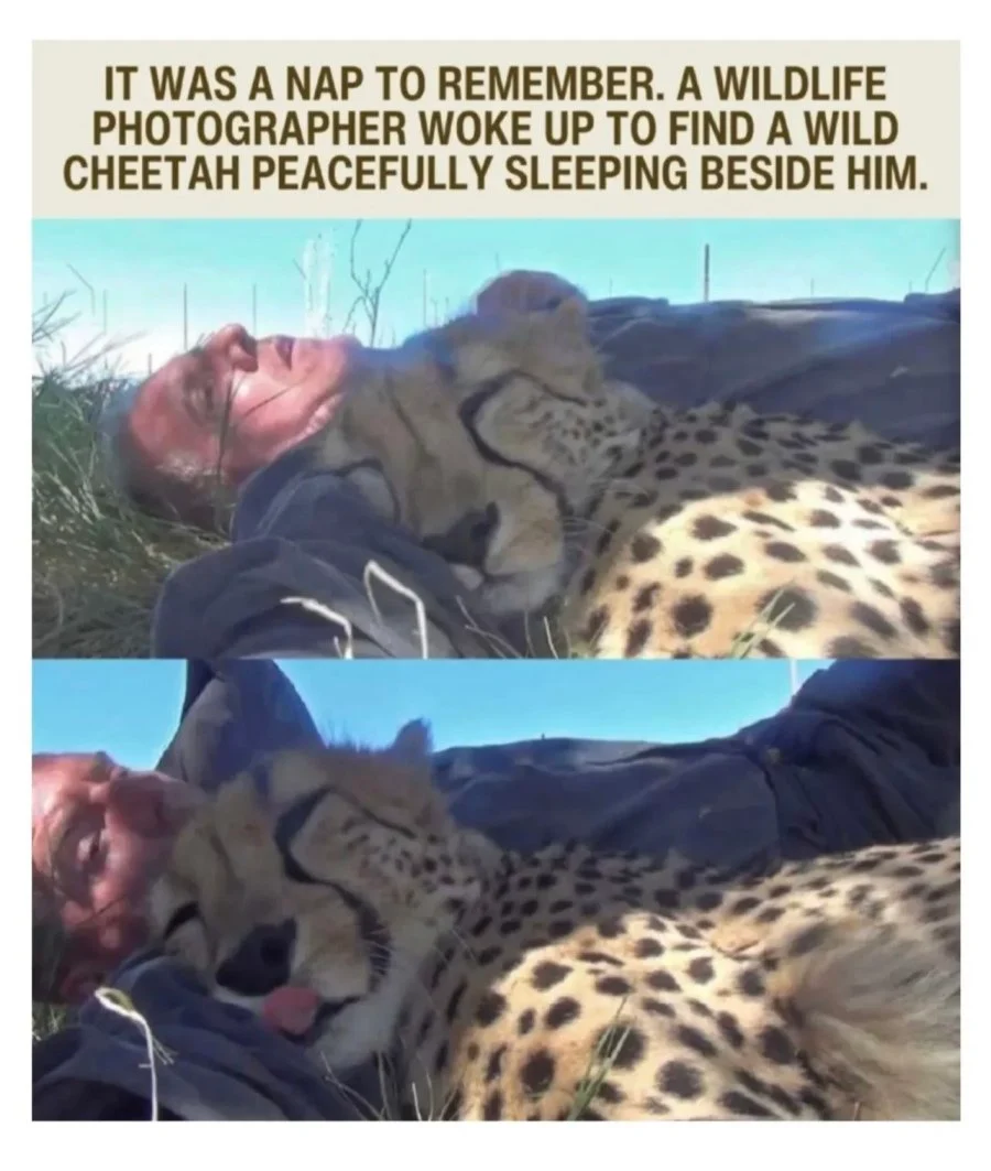 평생 잊지 못할 낮잠을 잔 남자.jpg | 인스티즈