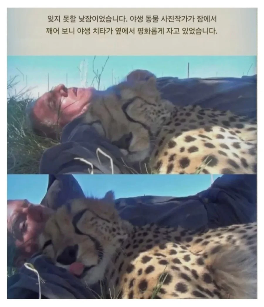 평생 잊지 못할 낮잠을 잔 남자.jpg | 인스티즈