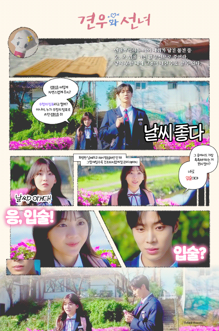 교복 입은 학원 로맨스 판타지 그 자체인 드라마 | 인스티즈