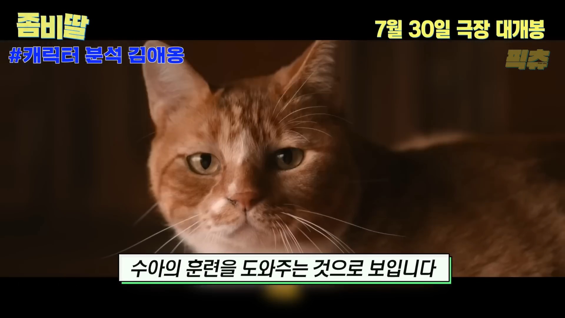 영화 <좀비딸> 신스틸러 배우 예고한 애용이 | 인스티즈