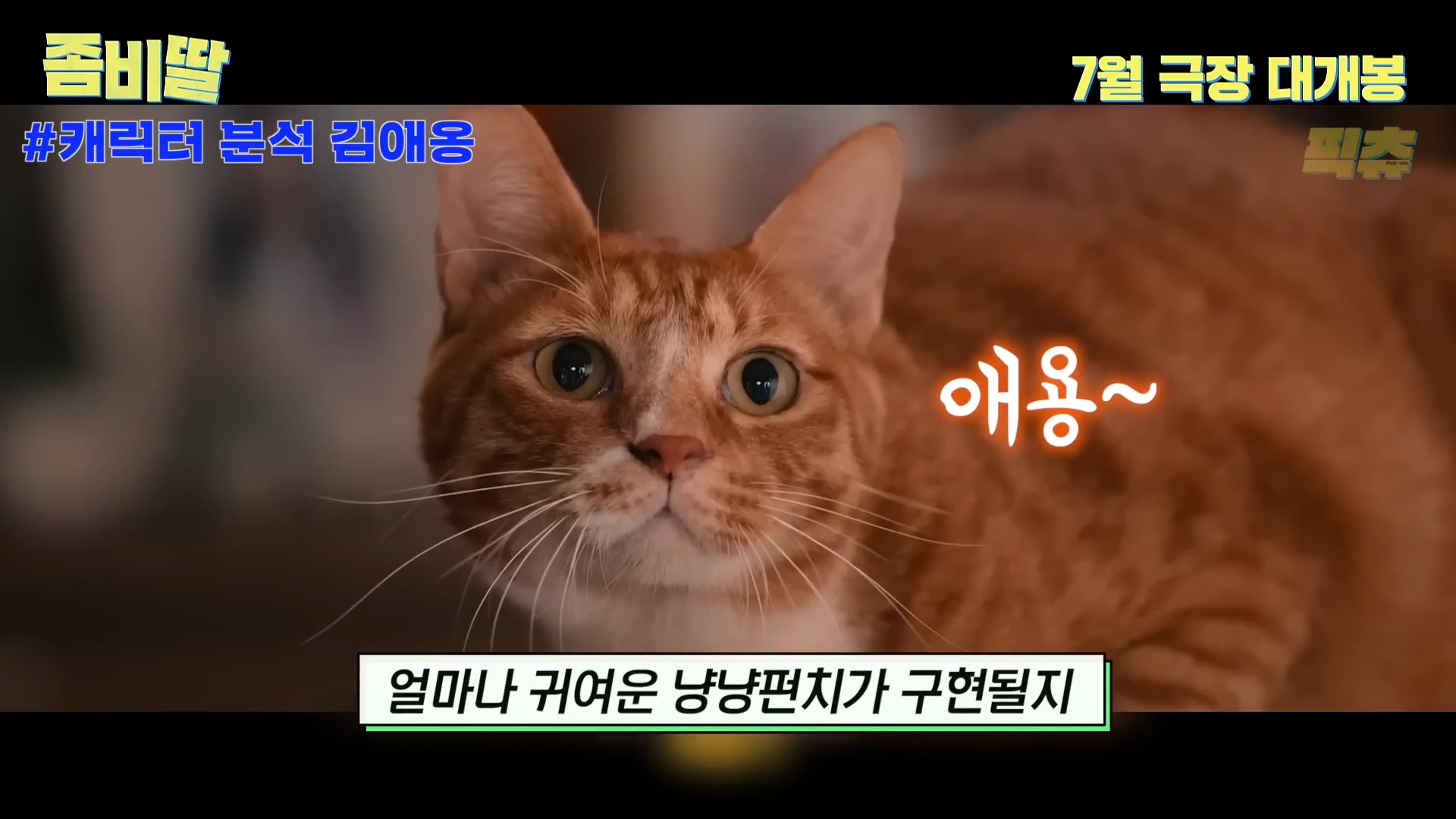 영화 <좀비딸> 신스틸러 배우 예고한 애용이 | 인스티즈