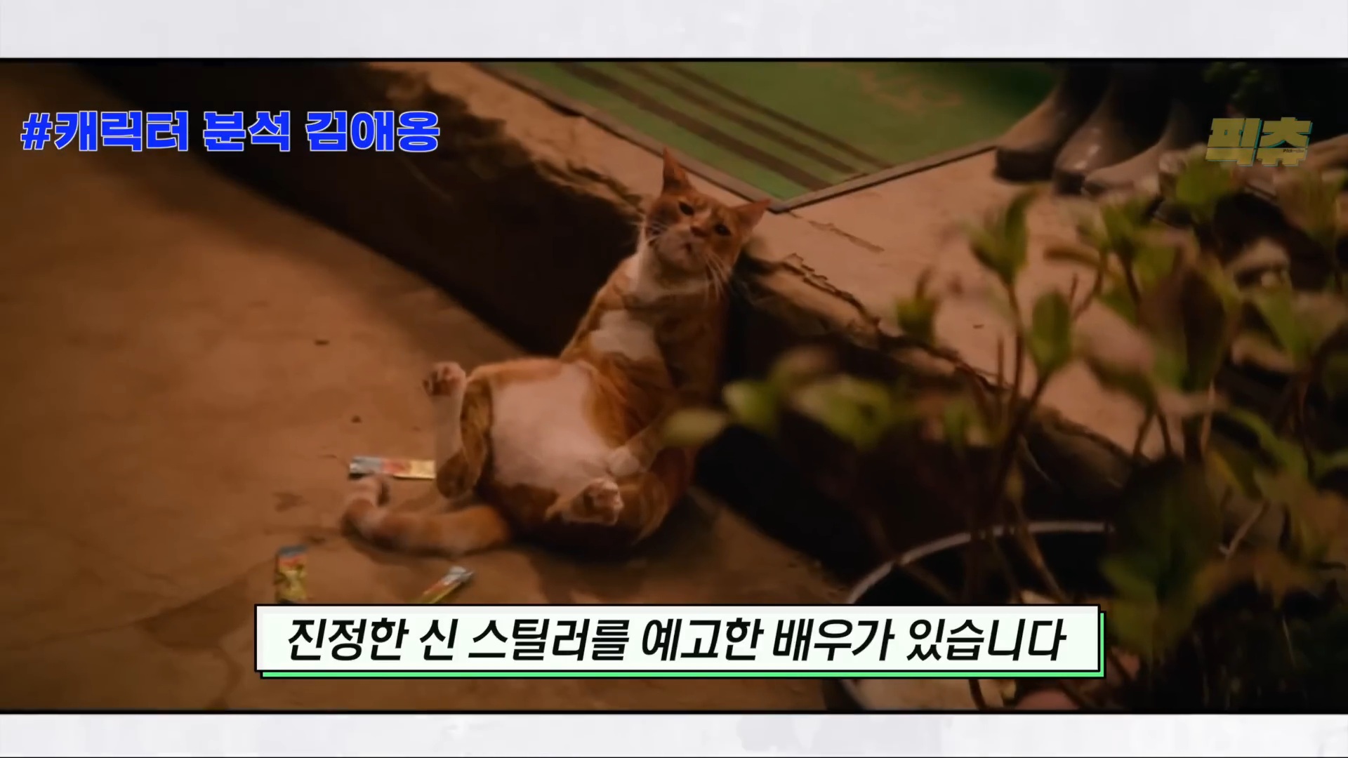 영화 <좀비딸> 신스틸러 배우 예고한 애용이 | 인스티즈