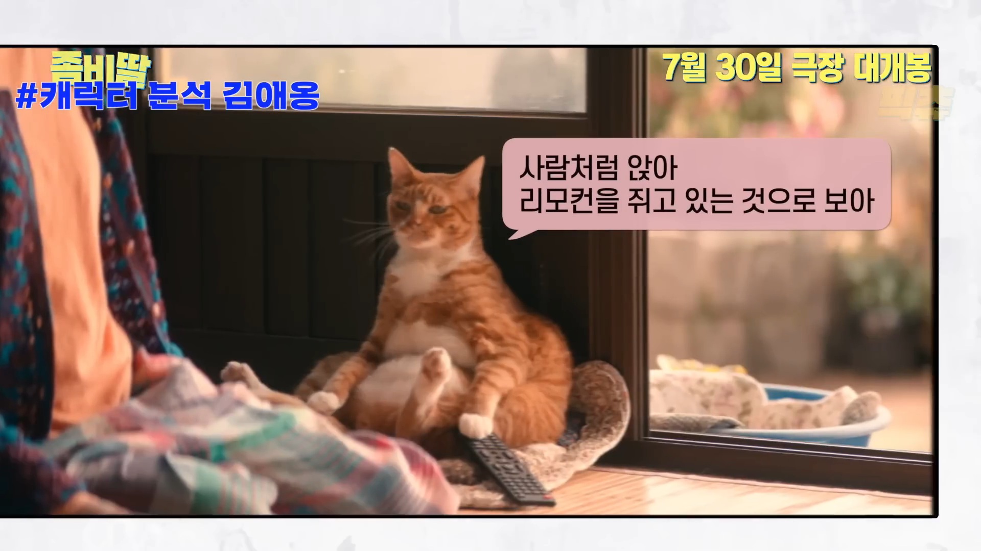 영화 <좀비딸> 신스틸러 배우 예고한 애용이 | 인스티즈