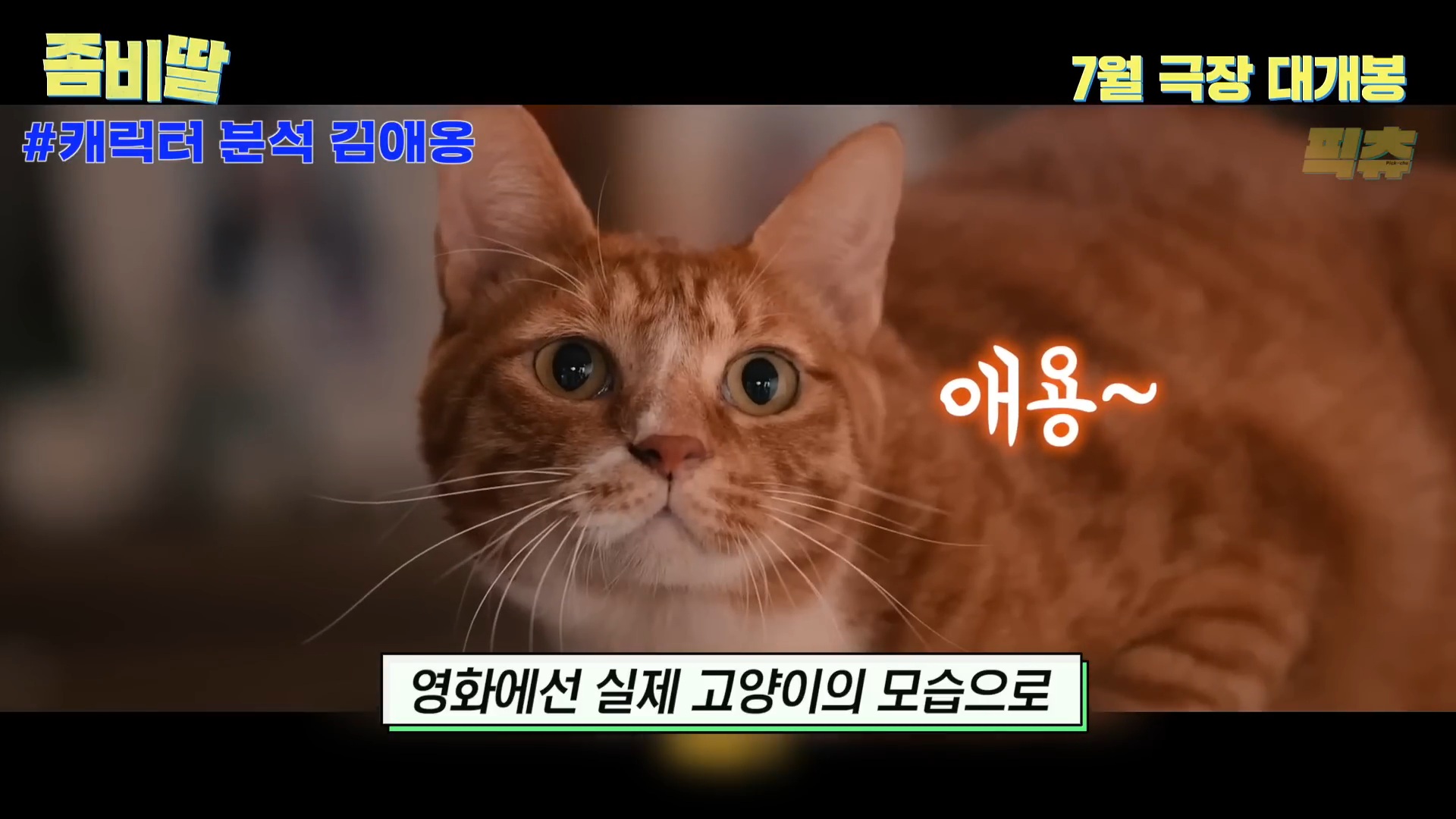 영화 <좀비딸> 신스틸러 배우 예고한 애용이 | 인스티즈