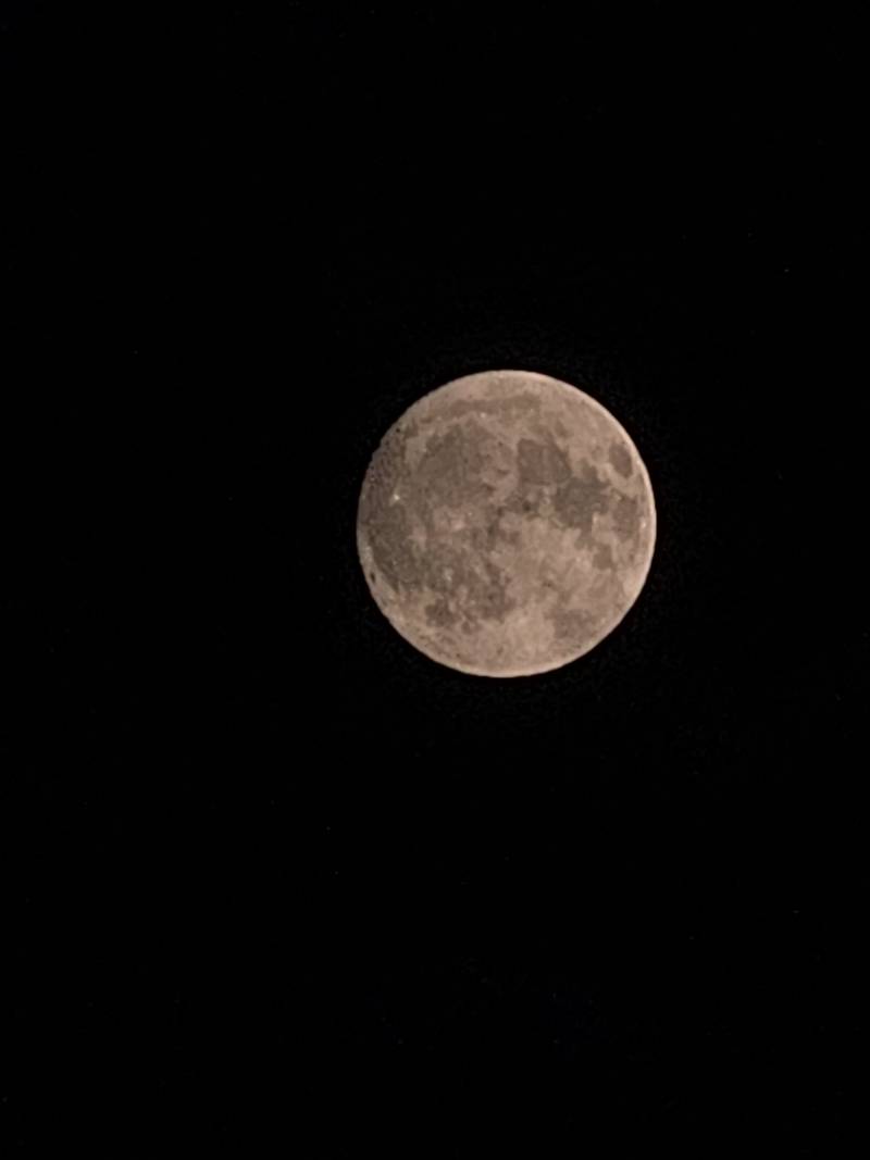 [잡담] 오늘 달 뜬 것 좀 봐 | 인스티즈