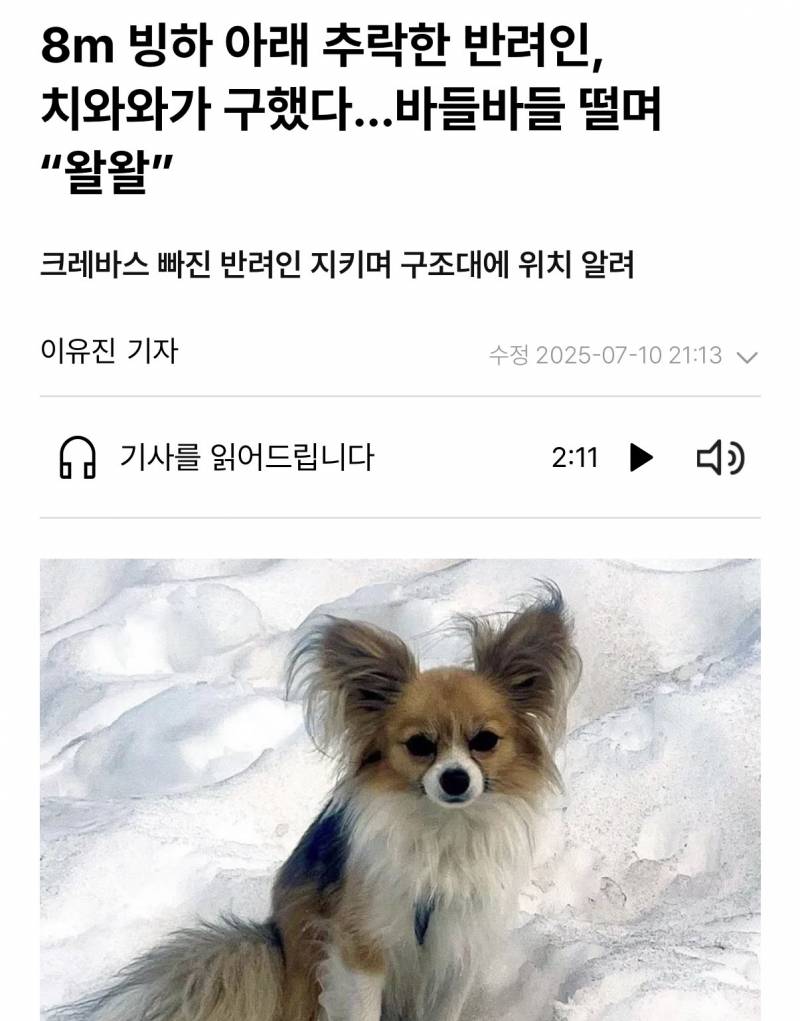 바들바들 떨며 왈왈 | 인스티즈