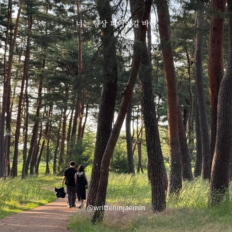 [피어있길바라] 사랑은 찰나의 순간에 보이는 것들이야 | 인스티즈