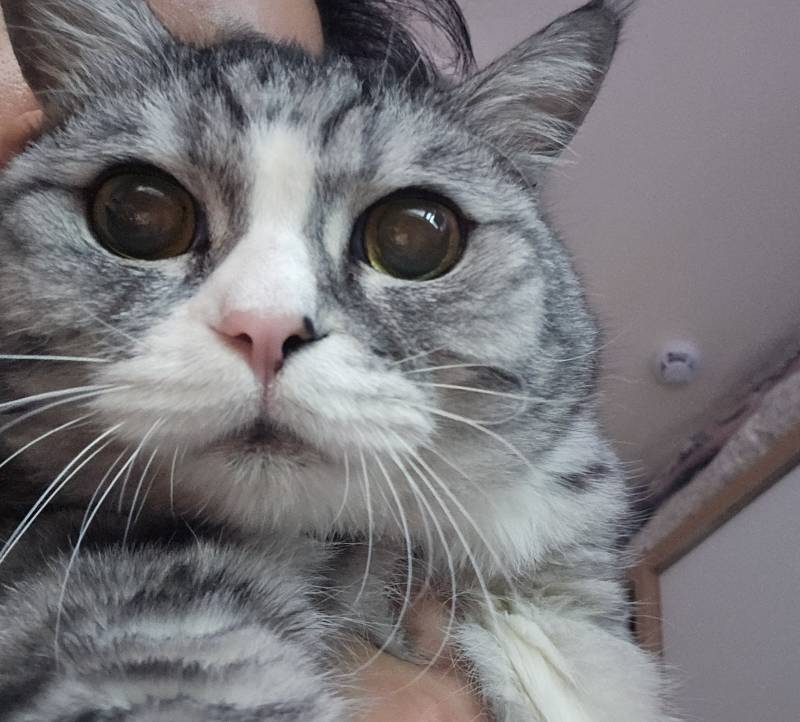 [잡담] 11년째 귀여움 | 인스티즈