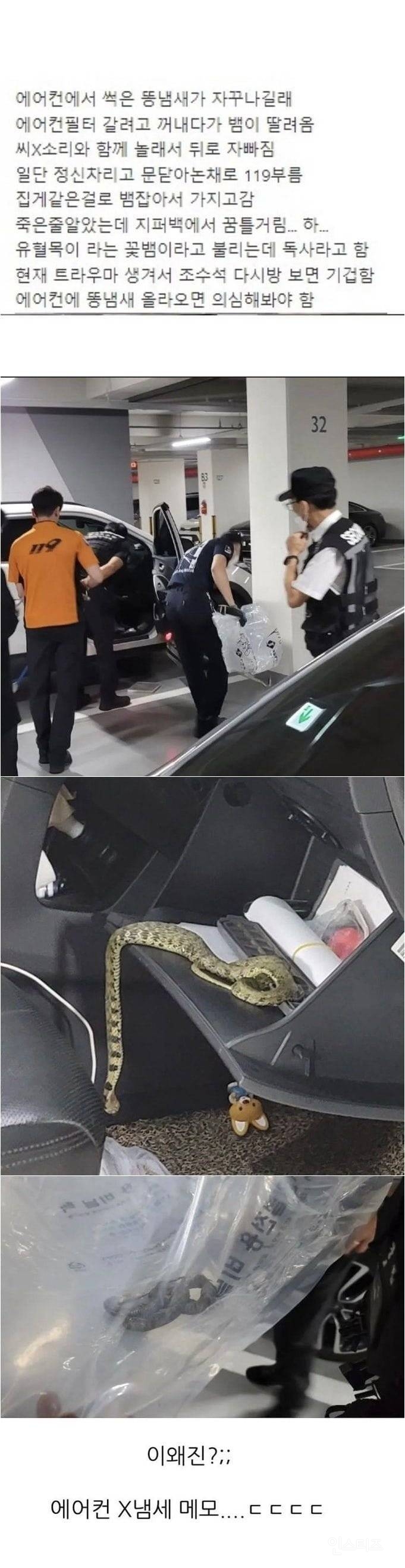 차에서 똥냄새나면 조심해야함 ㄷ..jpg | 인스티즈