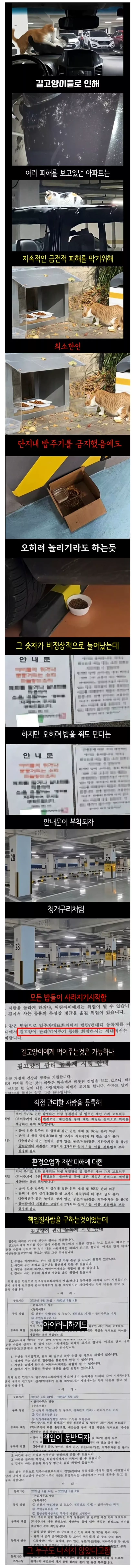 캣맘들이 싫어한다는 안내문.jpg | 인스티즈