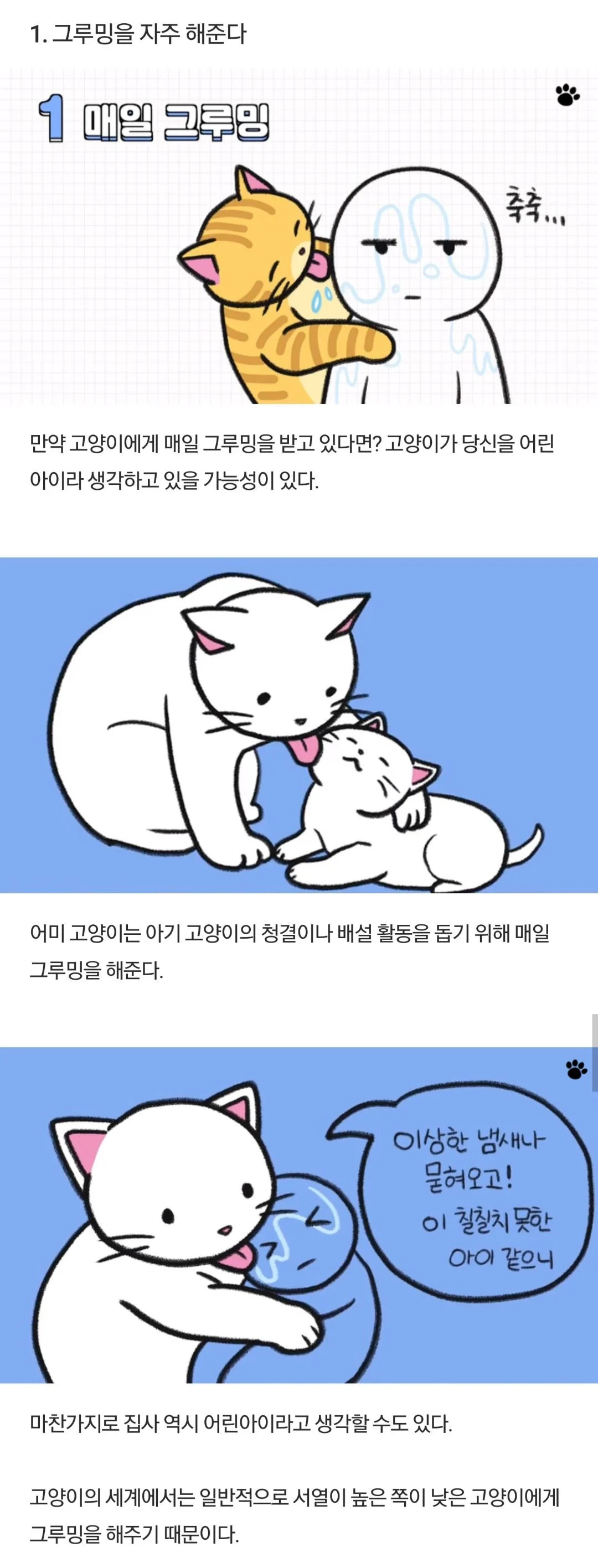 고양이가 당신을 아기로 여긴다는 증거.jpg | 인스티즈