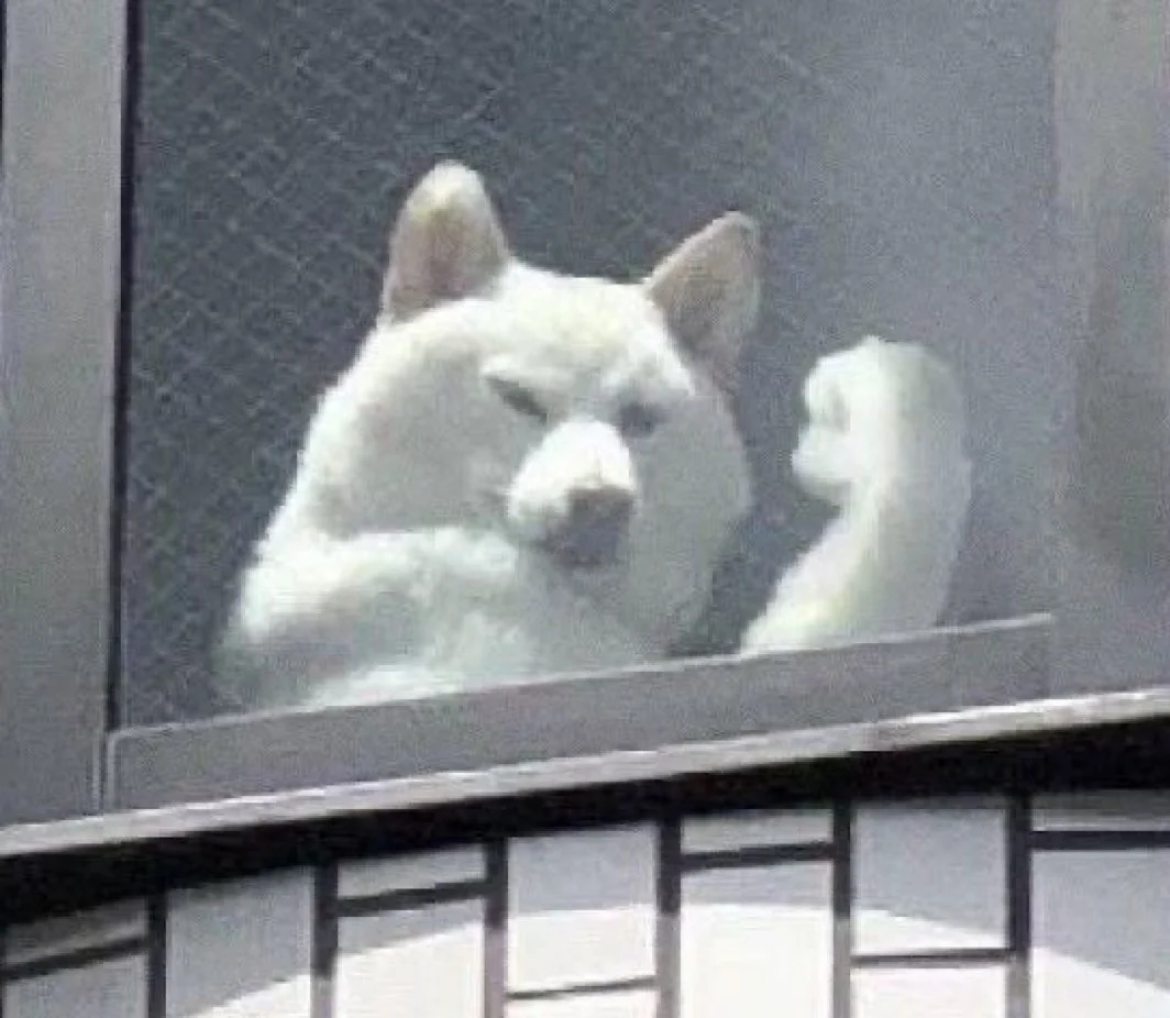 기운 내라 인간 | 인스티즈