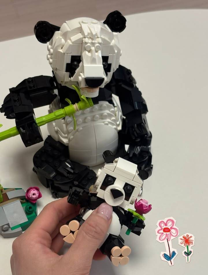 방금 올라온 츄 인스타그램🌼 | 인스티즈