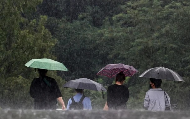 [내일 날씨] 초복 일요일, 수도권 등 곳곳 소나기…찜통더위 예고 | 인스티즈