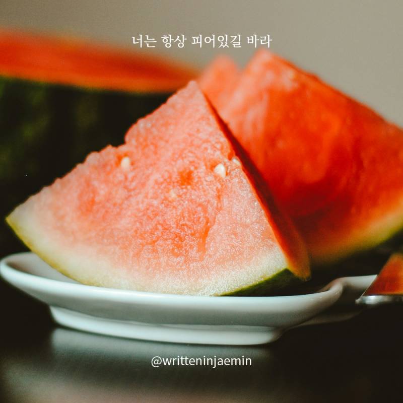 [피어있길바라] 뜨거운 여름에는 시원한 수박을 먹자 | 인스티즈