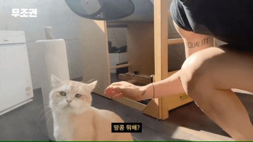 이 날씨에 얼굴 안타고 필라테스하는 방법 .jpg | 인스티즈