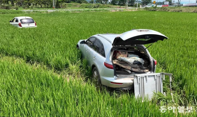 폭우 이후 충남 서산 근황 | 인스티즈