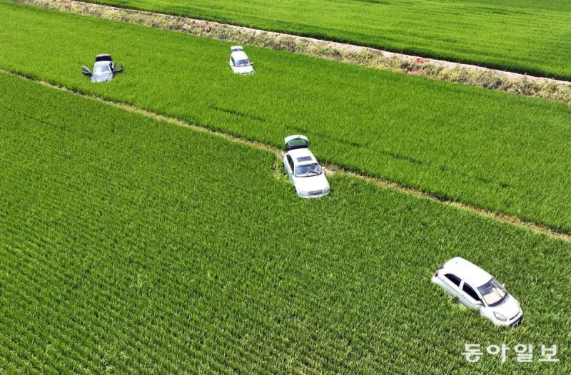 폭우 이후 충남 서산 근황 | 인스티즈