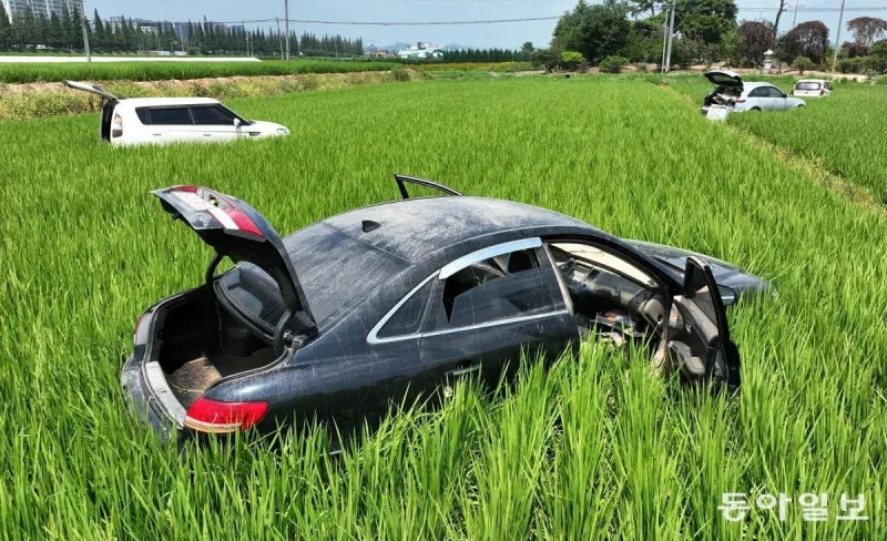 폭우 이후 충남 서산 근황 | 인스티즈
